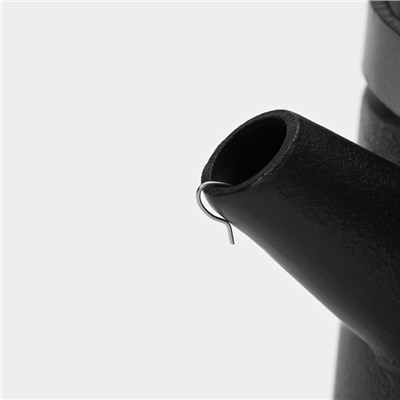 Чайник Magma «Сайгон», 1.1 л, чугун, с ситом, с эмалированным покрытием внутри, индукция, чугун, чёрный