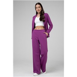 Брюки женские 25-481L3-44 яр.сливовый