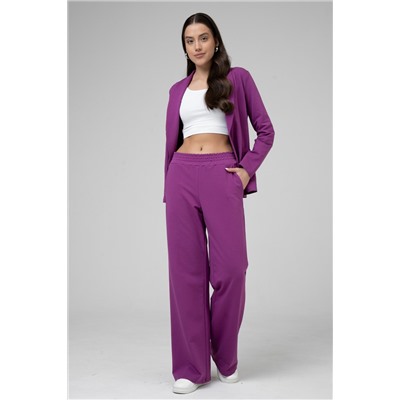 Брюки женские 25-481L3-44 яр.сливовый