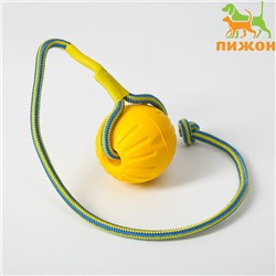 Мяч из EVA на верёвке, для дрессировки, 7 см, жёлтый