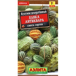 1372 Кукумис декоративный Лавка антиквара, смесь сортов 10шт