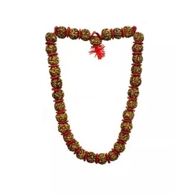 Чётки из Рудракши (6 мукхи), Rudraksha Mala Nepal, произв. Kalyan Puja