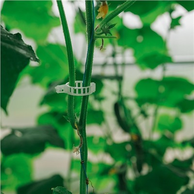 Клипса садовая, d=25 мм, набор 50 шт., Greengo