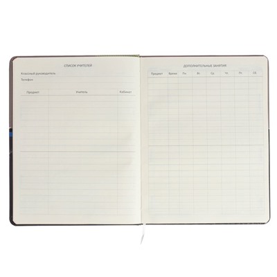 Дневник универсальный 1-11 класса Neon, твёрдая обложка, искусственная кожа, цветной срез, шелкография, ляссе, блок 80 г/м2