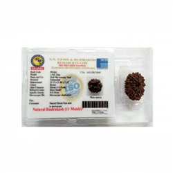 Рудракша сертифицированная (11 мукхи), 11 Mukhi Certified Rudraksha (Nepal), произв. Kalyan Puja