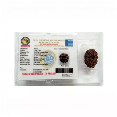 Рудракша сертифицированная (11 мукхи), 11 Mukhi Certified Rudraksha (Nepal), произв. Kalyan Puja