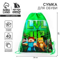 Мешок для обуви «Гейм пиксели» полиэстер, размер 41×30 см