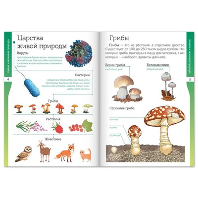 Набор книжек-шпаргалок «Знакомимся с окружающим миром», 6 шт.