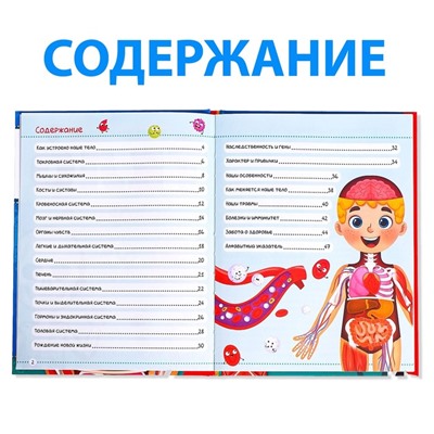 Энциклопедия в твёрдом переплёте «Тело человека», 48 стр.