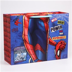 Пакет ламинат горизонтальный "Spider-Man", Человек-паук, 61х46х20 см