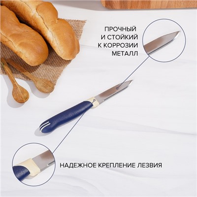Нож для овощей кухонный Доляна «Страйп», зубчатое лезвие 7.5 см, синий