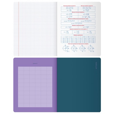 Комплект (12 шт.) предметных тетрадей 48л. BG "Monocolor. Element", ламинация soft-touch, выб. лак, 70г/м2, пенал
