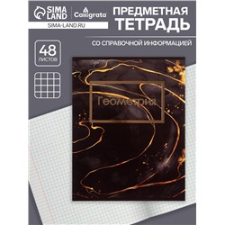 Тетрадь предметная 48 листов в клетку Calligrata, «Мрамор тёмный. Геометрия», обложка мелованный картон