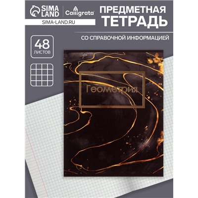 Тетрадь предметная 48 листов в клетку Calligrata, «Мрамор тёмный. Геометрия», обложка мелованный картон