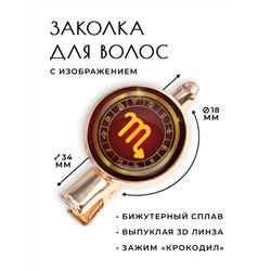 HZF-0300 Заколка Знаки Зодиака - Скорпион