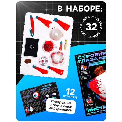 Набор для опытов «Строение глаза», анатомическая модель