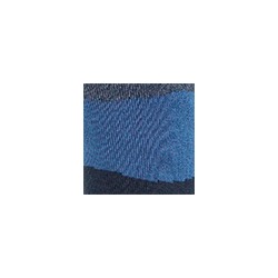 Носки мужские 18С2424 475 Брестские Arctic Conte [6шт] Дроп
