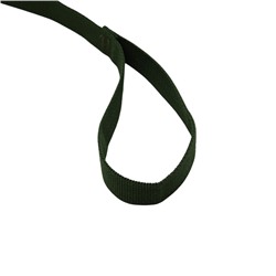 Поводок 5 м × 2.5 см, зелёный