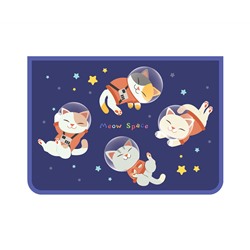 Папка для труда 2 отделения, А4, ArtSpace "Space cat", пластик, на молнии