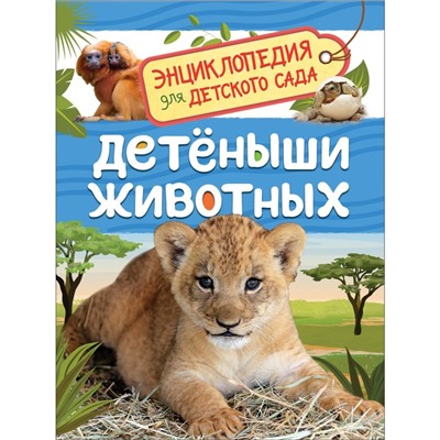 Энциклопедия для детского сада «Детёныши животных», Клюшник Л. В.