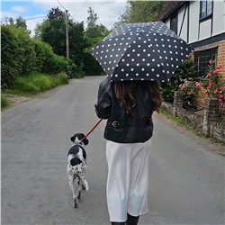 L501-4479 SmileySpot (Смайлы) Зонт женский механика Fulton