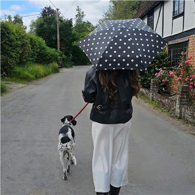 L501-4479 SmileySpot (Смайлы) Зонт женский механика Fulton