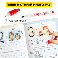 Прописи многоразовые «Пишем цифры», 12 стр., маркер