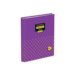 Тетрадь на кольцах А5, 160л., BG "Генерирую идеи", матовая ламинация