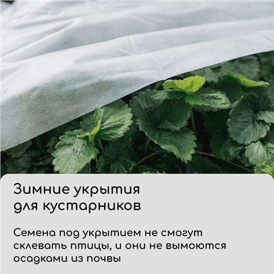 Материал укрывной, 10×2.1 м, плотность 60 г/м², спанбонд с УФ-стабилизатором, белый, Greengo, Эконом 30%