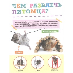 Домашние питомцы. Первая энциклопедия малыша