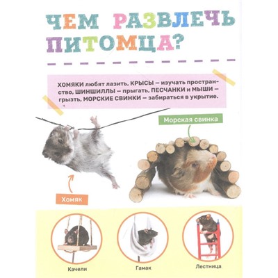 Домашние питомцы. Первая энциклопедия малыша