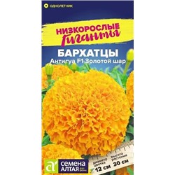 Бархатцы Антигуа Золотой Шар, арт.: 10463