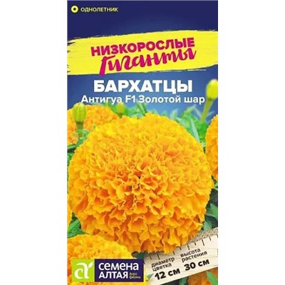 Бархатцы Антигуа Золотой Шар, арт.: 10463