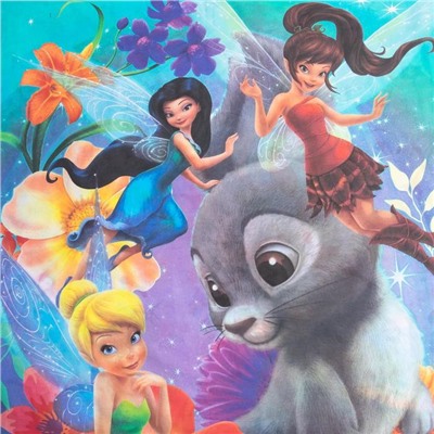 Постельное бельё 1.5 сп «Феи», 143×215 см, 150×214 см, 50×70 см-1 шт., хлопок 100%, поплин