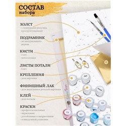 Картина по номерам с поталью "ПАРУСНИКИ НА ЗАКАТЕ" (гексагон 37х32, 28 цветов)