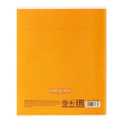 Тетрадь 96 листов в клетку Calligrata «Смайлики», обложка мелованный картон, блок офсет, МИКС