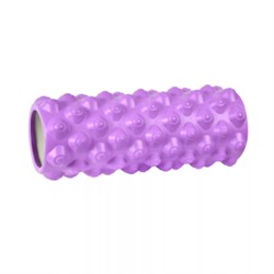 2531 Валик для фитнеса Cosmic (33 х 14 см фиолетовый)
