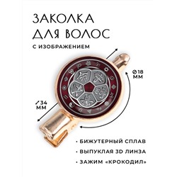 HZF-0190 Заколка Талисман  благ