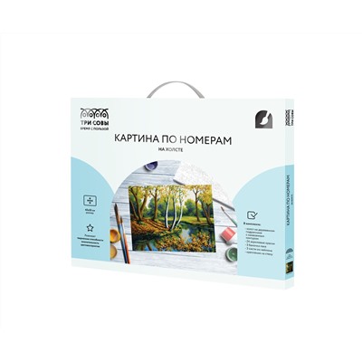 Картина по номерам на холсте ТРИ СОВЫ "Лесная река", 40*50, с акриловыми красками и кистями