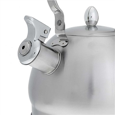 Чайник со свистком 2 л из нержавеющей стали, индукционное дно WEBBER BE-0560