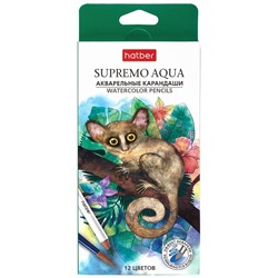 Карандаши 12цв Акварельные SUPREMO AQUA Hatber CS_087450/12/Китай