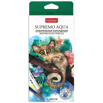 Карандаши 12цв Акварельные SUPREMO AQUA Hatber CS_087450/12/Китай
