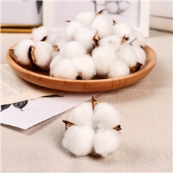 Декор сухоцвет «Хлопок», d=5 см, белый