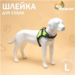 Шлейка улучшенная К7 мягкая светоотражающая, размер L, ОГ 64-86 см, вес 18- 27,5 кг, зеленая