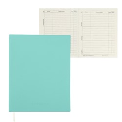 Дневник школьный для 1-11 классов Minty soft touch, мягкая обложка, искусственная кожа, ляссе, 80 г/м²