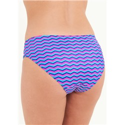 Aztec Stripe Bikini Bottoms