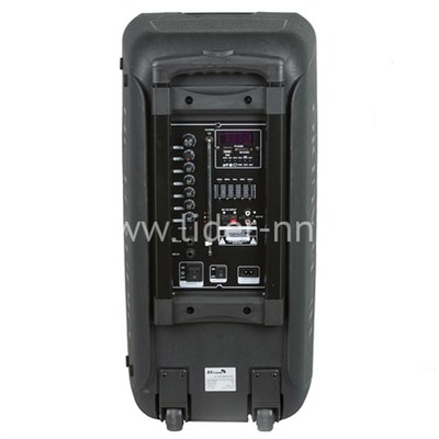 Колонка 10" (20-14 DANCE BOX 300) динамик 2шт/10" ELTRONIC с TWS