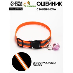Ошейник "Спорт" со светоотражающей полосой, 31 х 1 см, оранжевый