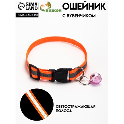 Ошейник "Спорт" со светоотражающей полосой, 31 х 1 см, оранжевый