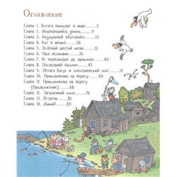 Воздушный "Котобой", или Приключения котов в небе и на земле